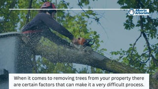 When it comes to removing trees from your property there
are certain factors that can make it a very difficult process.
 