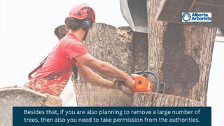 Besides that, if you are also planning to remove a large number of
trees, then also you need to take permission from the authorities.
 