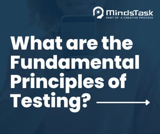What are the
Fundamental
Principles of
Testing?
 