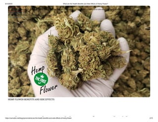 8/14/2020 What are the Health Benefits and Side Effects of Hemp Flower?
https://cannabis.net/blog/opinion/what-are-the-health-benefits-and-side-effects-of-hemp-flower 2/15
HEMP FLOWER BENEFITS AND SIDE EFFECTS
h h l h d id
 Edit Article (https://cannabis.net/mycannabis/c-blog-entry/update/what-are-the-health-bene ts-and-side-e ects-of-hemp- ower)
 Article List (https://cannabis.net/mycannabis/c-blog)
 
