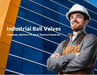 Industrial Ball Valves
Complete solutions for gas & chemical industries
 