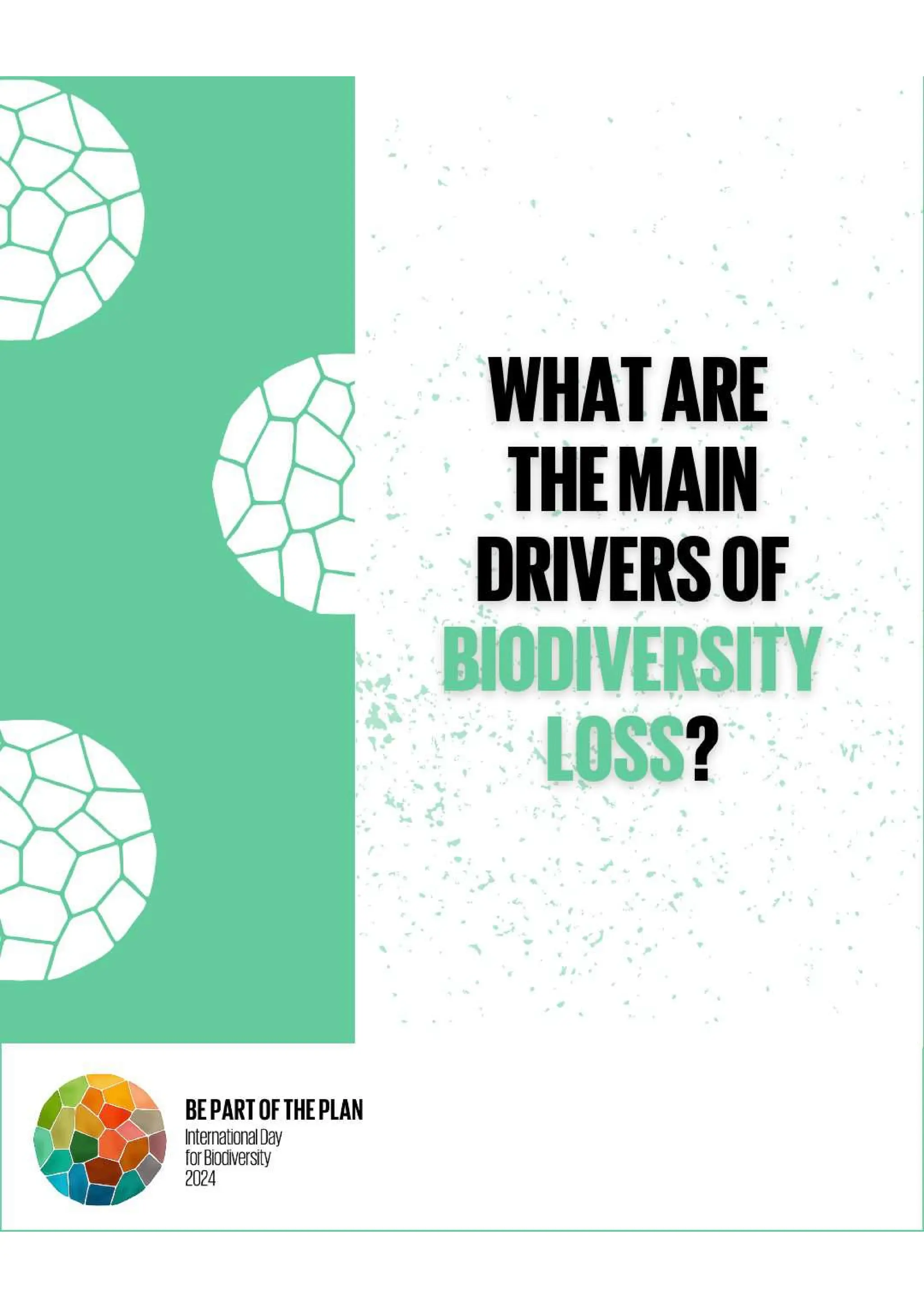 Frequently Asked Questions - What are the main drivers of biodiversity ...