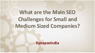 What are the Main SEO
Challenges for Small and
Medium Sized Companies?
SynapseIndia
 