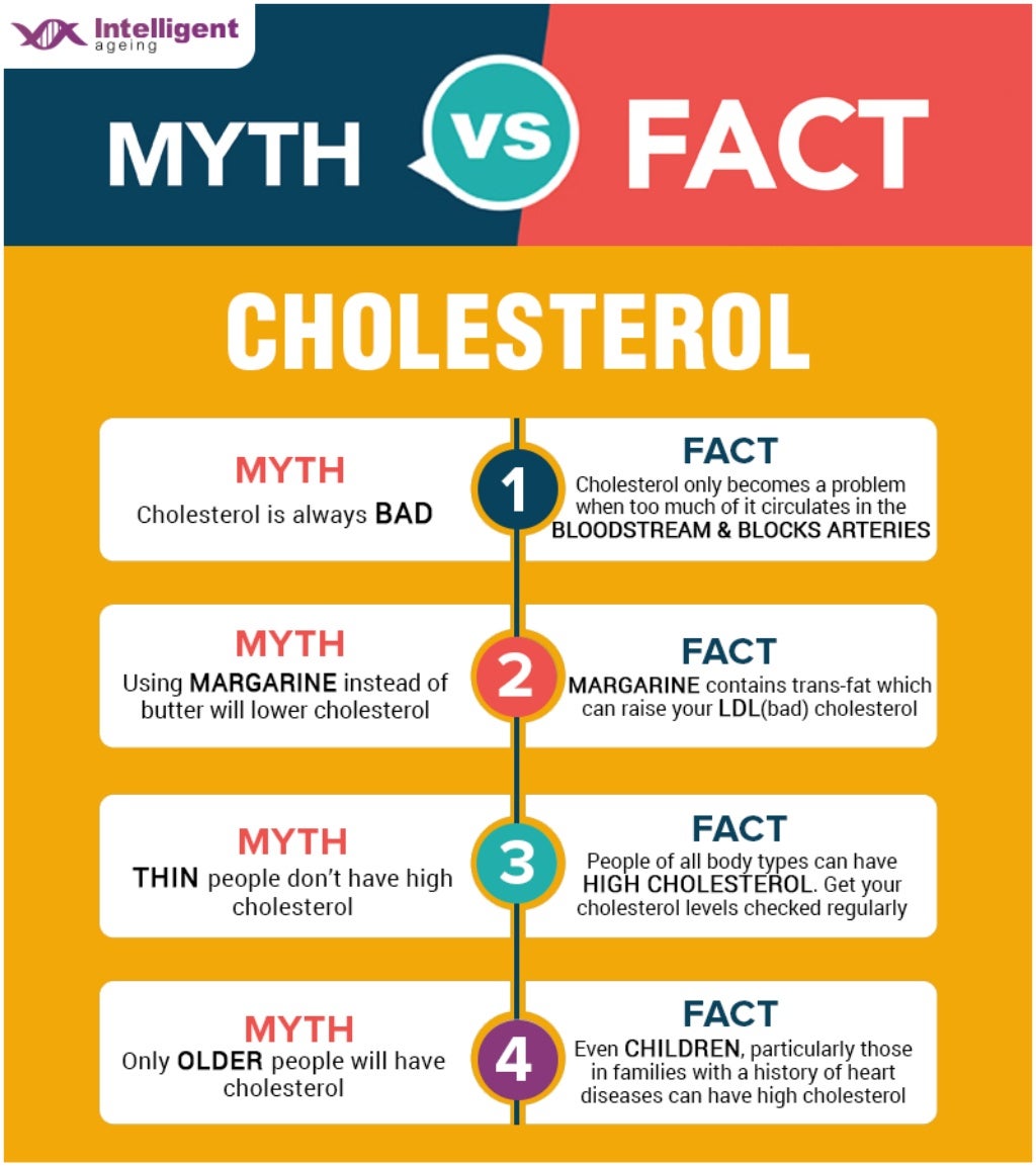 What Are The Myth and Facts About Cholesterol?