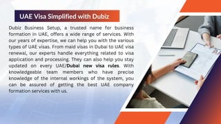 What are the new rules for UAE visa 2025 | PDF