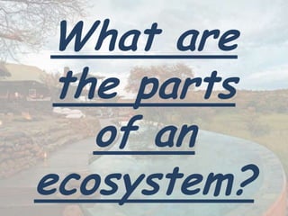 What are
 the parts
   of an
ecosystem?
 