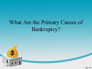 What Are the Primary Causes of
        Bankruptcy?
 