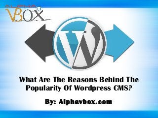 By: Alphavbox.com
What Are The Reasons Behind The
Popularity Of Wordpress CMS?
 