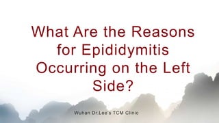 Wuhan Dr.Lee’s TCM Clinic
What Are the Reasons
for Epididymitis
Occurring on the Left
Side?
 