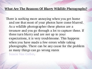 What Are The Reasons Of Blurry Wildlife Photographs?
There is nothing more annoying when you get home 
and see that most of your photos have come blurred. 
As a wildlife photographer these photos are a 
treasure and you go through a lot to capture these. If 
these turn blurry and are not up to your 
expectations, it is very troublesome. This happens 
when you have made a few errors while taking 
photographs. There can be any cause for the problem 
as many things can go wrong states 
Saxen Van Coller. 
 