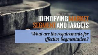 What are the requirements for effective segmentation_