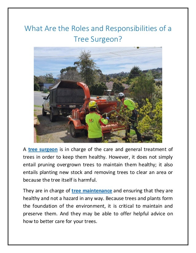What Are the Roles and Responsibilities of a Tree Surgeon?