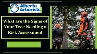What are the Signs of
Your Tree Needing a
Risk Assessment
 
