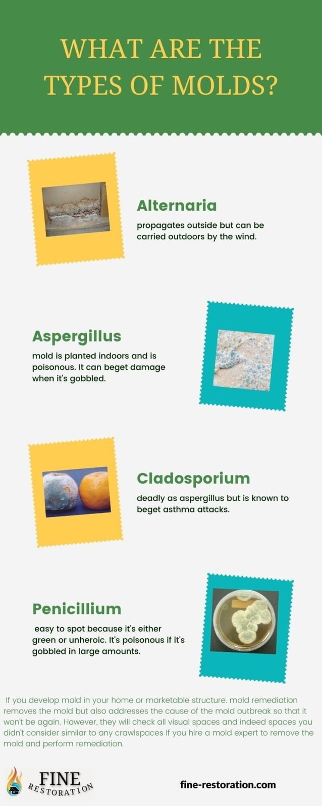 What Are The Types Of Molds? | PDF