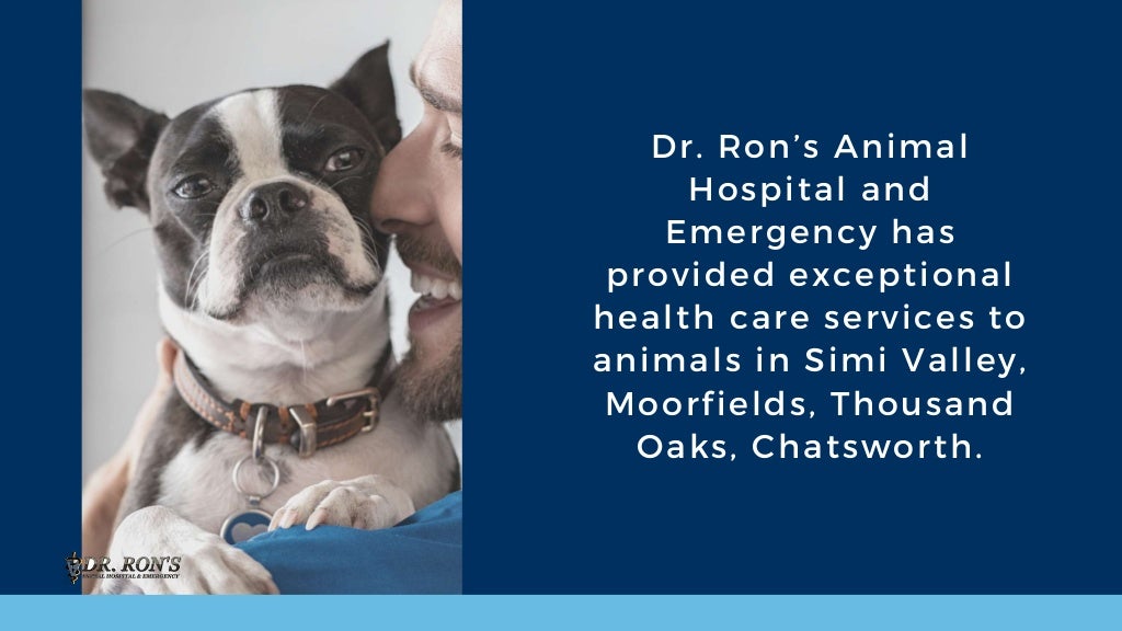 Dr Rons Simi Valleynull