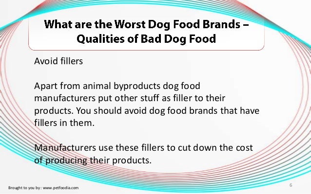 Dog Food Brands To Stay Away From Dog Food Brands To Stay Away From