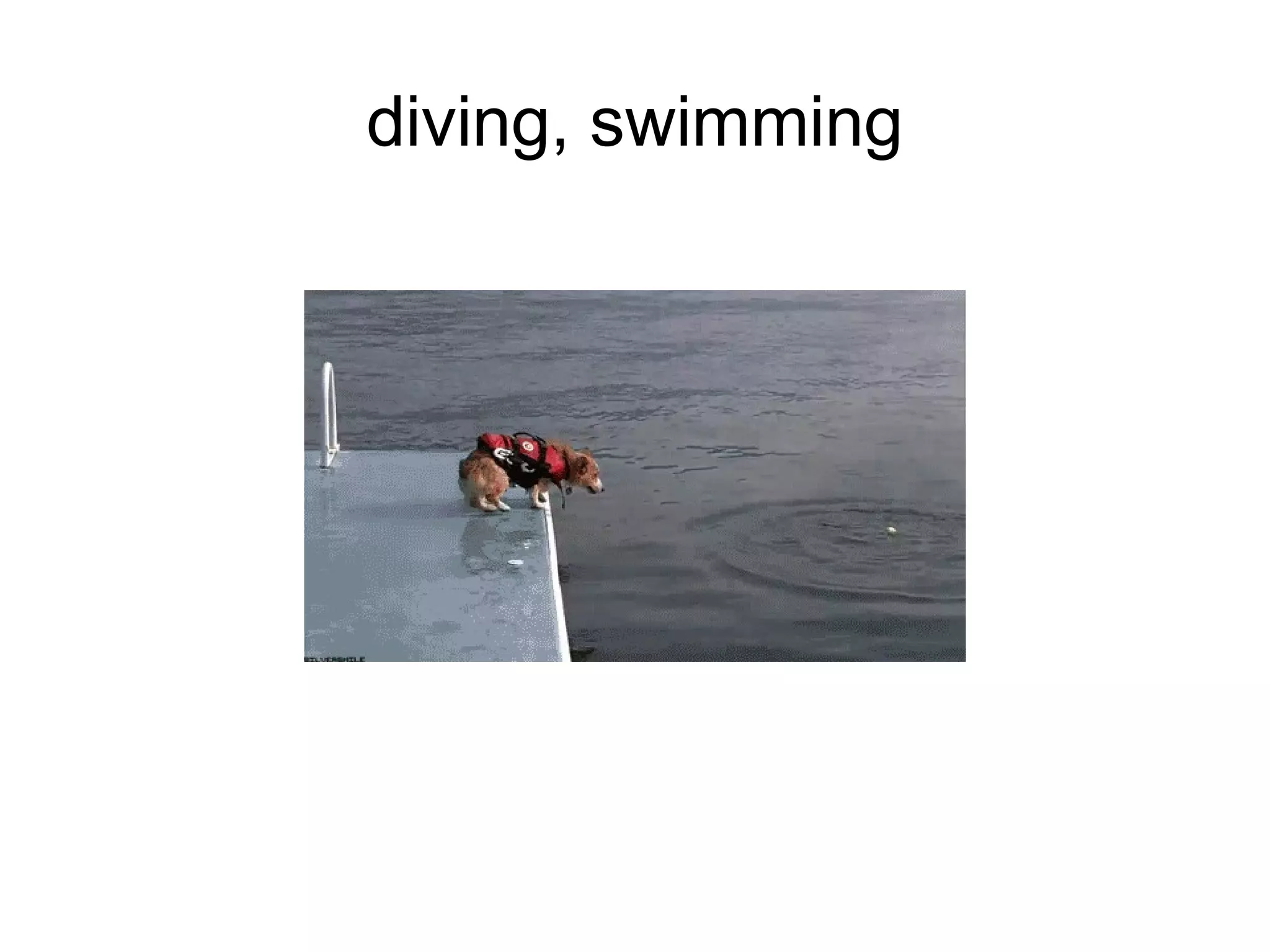 diving, swimming