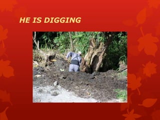 HE IS DIGGING
 