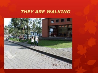THEY ARE WALKING
 