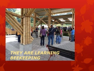 THEY ARE LEARNING
BEEKEEPING
 