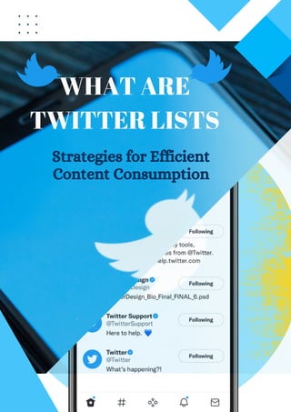 WHAT ARE
TWITTER LISTS
Strategies for Efficient
Content Consumption
 
