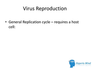 Virus Reproduction

• General Replication cycle – requires a host
  cell:
 