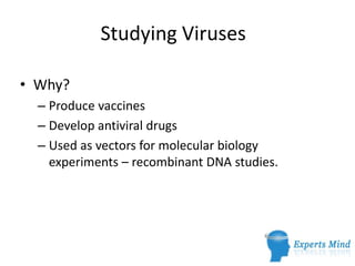 Studying Viruses

• Why?
  – Produce vaccines
  – Develop antiviral drugs
  – Used as vectors for molecular biology
    experiments – recombinant DNA studies.
 