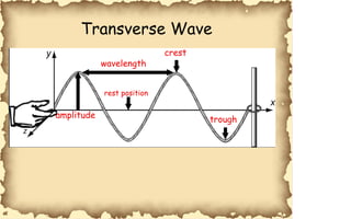 rest position crest amplitude trough wavelength Transverse Wave 