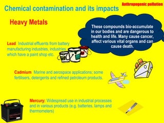 Chemical contamination and its impacts Mercury:   Widespread use in industrial processes and in various products (e.g. batteries, lamps and thermometers) These compounds bio-accumulate in our bodies and are dangerous to health and life. Many cause cancer, affect various vital organs and can cause death. Anthropogenic pollution Heavy Metals Lead :  Industrial effluents from battery manufacturing industries, industries which have a paint shop etc. Cadmium :  Marine and aerospace applications; some fertilisers, detergents and refined petroleum products. 