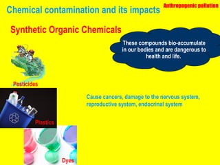 Chemical contamination and its impacts Anthropogenic pollution Synthetic Organic Chemicals These compounds bio-accumulate in our bodies and are dangerous to health and life.  Cause cancers, damage to the nervous system, reproductive system, endocrinal system Dyes Plastics Pesticides 
