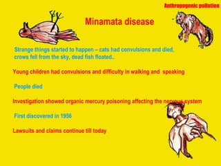 Minamata disease Strange things started to happen – cats had convulsions and died,  crows fell from the sky, dead fish floated.. Young children had convulsions and difficulty in walking and  speaking  People died Investigation showed organic mercury poisoning affecting the nervous system First discovered in 1956 Lawsuits and claims continue till today Anthropogenic pollution 