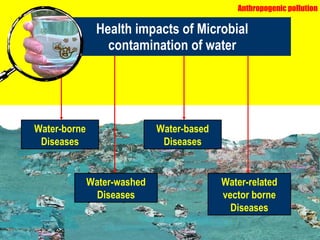 Health impacts of Microbial contamination of water Water-borne Diseases Water-washed Diseases Water-based Diseases Water-related vector borne Diseases Anthropogenic pollution 