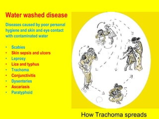 Water washed disease Diseases caused by poor personal  hygiene and skin and eye contact  with contaminated water Scabies Skin sepsis and ulcers Leprosy Lice and typhus Trachoma Conjunctivitis Dysenteries Ascariasis Paratyphoid How Trachoma spreads 