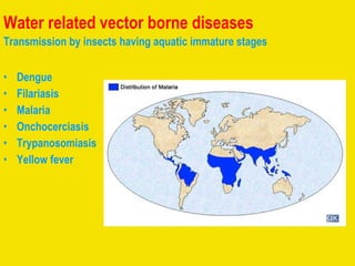 Water related vector borne diseases  Transmission by insects having aquatic immature stages Dengue Filariasis  Malaria  Onchocerciasis Trypanosomiasis  Yellow fever 