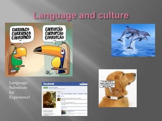 Language:
Substitute
for
Experience!

 