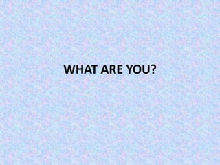 WHAT ARE YOU?
 