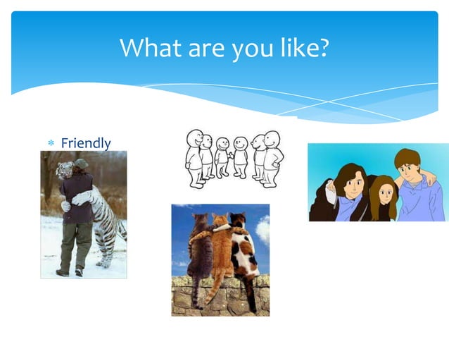 What are you like | PPTX | Homework and Study | Education
