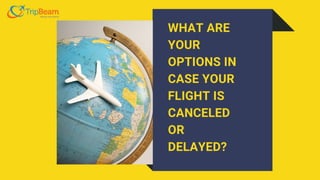 WHAT ARE
YOUR
OPTIONS IN
CASE YOUR
FLIGHT IS
CANCELED
OR
DELAYED?
 