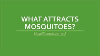 WHAT ATTRACTS
MOSQUITOES?
 