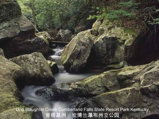 Dog Slaughter Creek Cumberland Falls State Resort Park Kentucky 肯塔基州：坎博兰瀑布州立公园 