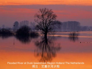 Flooded River at Dusk Ijsselstreek Region Holland The Netherlands 荷兰：艾塞尔河夕阳 
