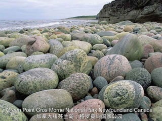Green Point Gros Morne National Park Newfoundland Canada 加拿大纽芬兰岛：格罗莫讷国家公园 