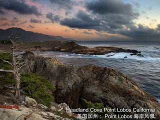 Headland Cove Point Lobos California 美国加州： Point Lobos 海岸风景 