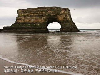 Natural Bridges State Beach Santa Cruz California 美国加州：圣克鲁斯 天然桥州立海滩 
