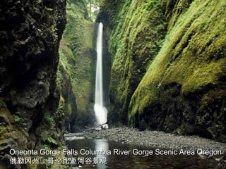 Oneonta Gorge Falls Columbia River Gorge Scenic Area Oregon 俄勒冈州：哥伦比亚河谷景观 