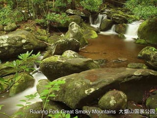 Roaring Fork Great Smoky Mountains  大烟山国家公园 