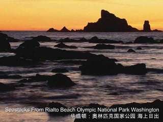 Seastacks From Rialto Beach Olympic National Park Washington 华盛顿：奥林匹克国家公园 海上日出 