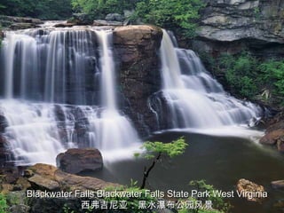 Blackwater Falls Blackwater Falls State Park West Virginia 西弗吉尼亚：黑水瀑布公园风景 