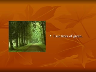 I see trees of green,  