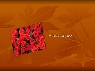 red roses too  